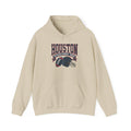 Houston Texans