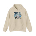 Carolina Panthers